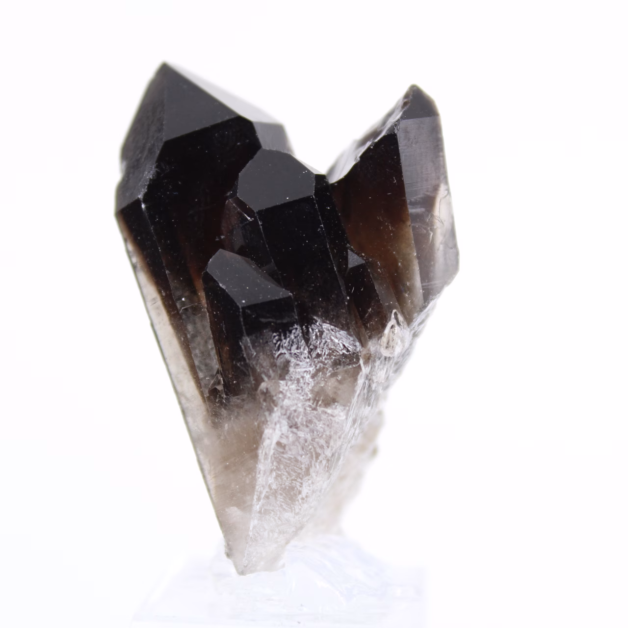 Small piece of Brazilian morion quartz, crystal on a holder