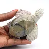 Carved natural steatite tortoise from Bolivia - 0