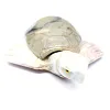 Carved natural steatite tortoise from Bolivia - 2