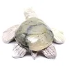 Carved natural steatite tortoise from Bolivia - 4