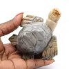 Carved steatite stone tortoise from Bolivia - 0
