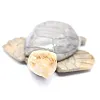 Carved steatite stone tortoise from Bolivia - 2