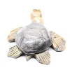 Carved steatite stone tortoise from Bolivia - 4