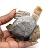 Carved steatite stone tortoise from Bolivia
