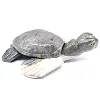 Decorative tortoise in natural Bolivian steatite - 1