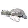 Decorative tortoise in natural Bolivian steatite - 3