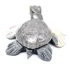 Decorative tortoise in natural Bolivian steatite - 4