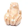 Carved steatite frog from Bolivia - 4