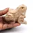 Carved steatite frog from Bolivia