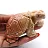 Natural steatite tortoise figurine from Bolivia