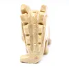 Carved steatite stegosaurus from Bolivia - 4