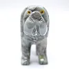 Steatite dog: carved animal figure from Bolivia - 2