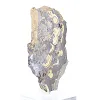 Polish Schalenblende polished slice on acrylic stand - 2