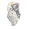 Polish Schalenblende polished slice on acrylic stand - 5
