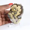 Polish Schalenblende two-tone slice on clear stand - 1