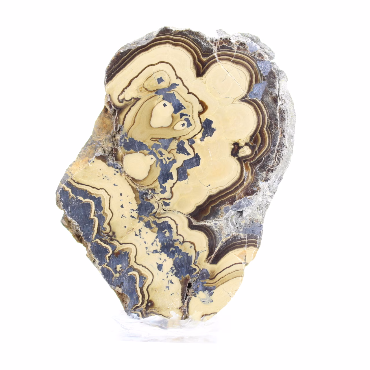 Polish Schalenblende two-tone slice on clear stand