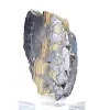 Polish Schalenblende, raw and polished mineral slice - 4