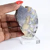 Polish Schalenblende, raw and polished mineral slice - 1