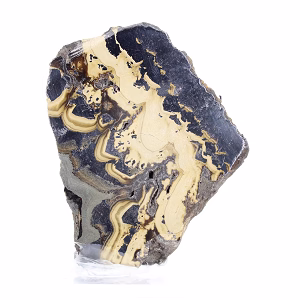 Polish Schalenblende slice with clear stand