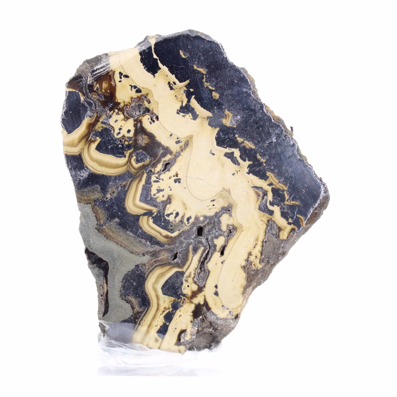 Polish Schalenblende slice with clear stand