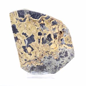 Polish Schalenblende polished slice, mineralogical specimen