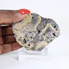 Polish Schalenblende slice for mineral collection - 1