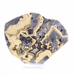 Polish Schalenblende slice for mineral collection