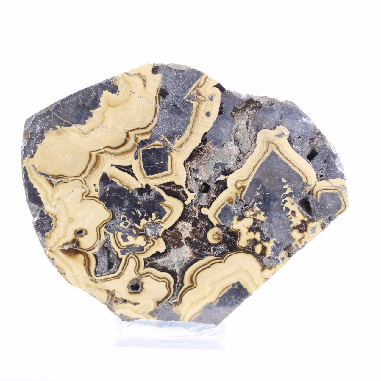 Polish Schalenblende slice for mineral collection