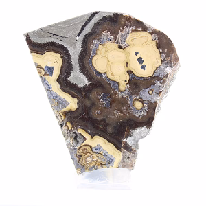 Polish Schalenblende double-sided slice on clear stand