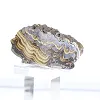 Polish Schalenblende elongated slice, polished face - 2