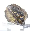 Polish Schalenblende elongated slice, polished face - 4