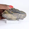 Polish Schalenblende elongated slice, polished face - 1