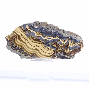 Polish Schalenblende elongated slice, polished face