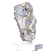 Polish Schalenblende collector's slice on stand - 2