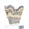 Polish Schalenblende raw and polished, display piece - 2