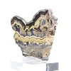 Polish Schalenblende raw and polished, display piece - 4