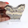 Polish Schalenblende raw and polished, display piece - 1
