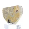 Small Polish Schalenblende slice on stand - 4