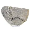 Small Polish Schalenblende slice on stand - 5