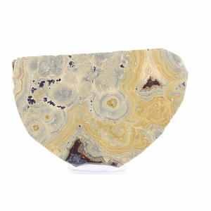 Small Polish Schalenblende slice on stand