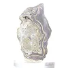 Polish Schalenblende thick slice, polished face - 2