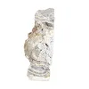 Polish Schalenblende thick slice, polished face - 3