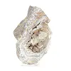 Polish Schalenblende thick slice, polished face - 5