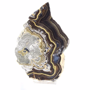Polish Schalenblende thick slice, polished face