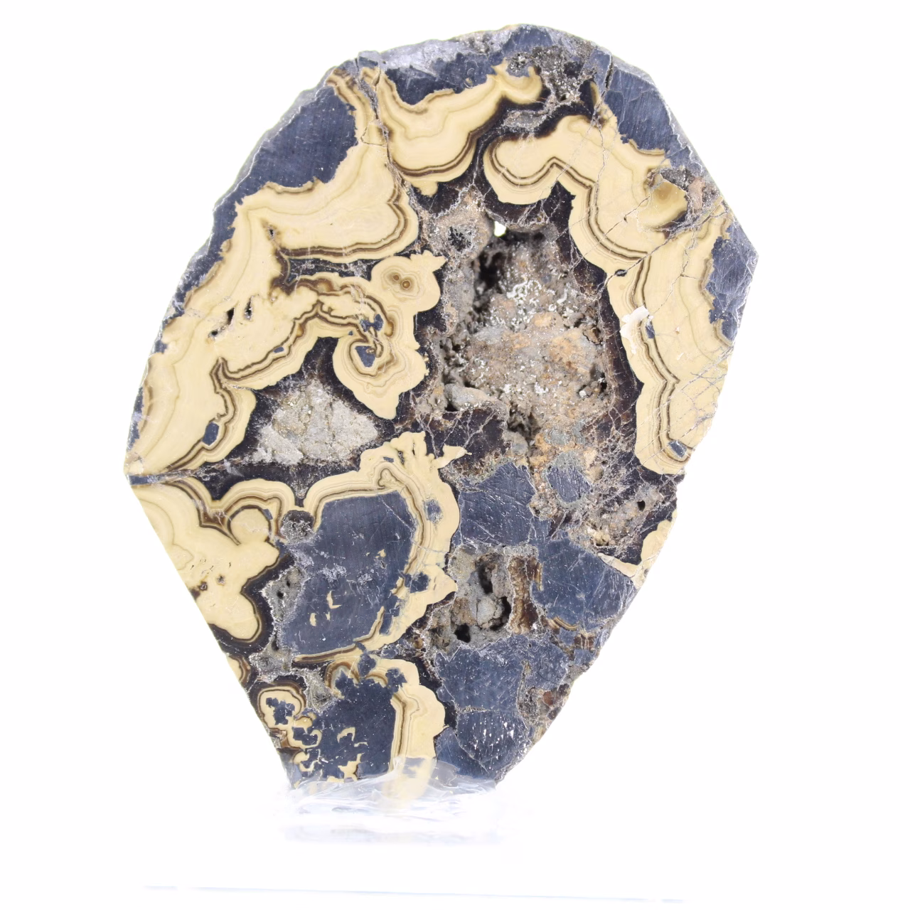 Polish Schalenblende vertical slice, 160 g
