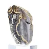 Polish Schalenblende, 230 g mineral slice - 4