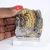 Polish Schalenblende with contrasting surfaces on stand - 1