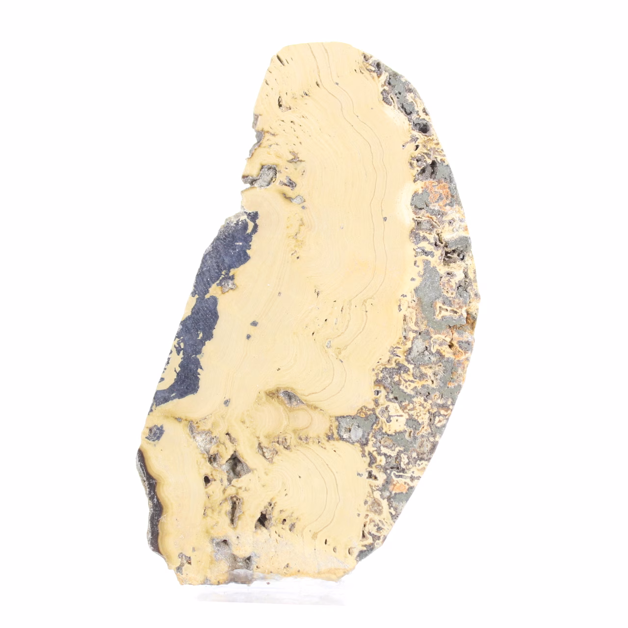 Polish Schalenblende slice on clear stand