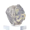 Polish Schalenblende, 130 g slice specimen - 2