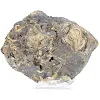 Polish Schalenblende, 130 g slice specimen - 5